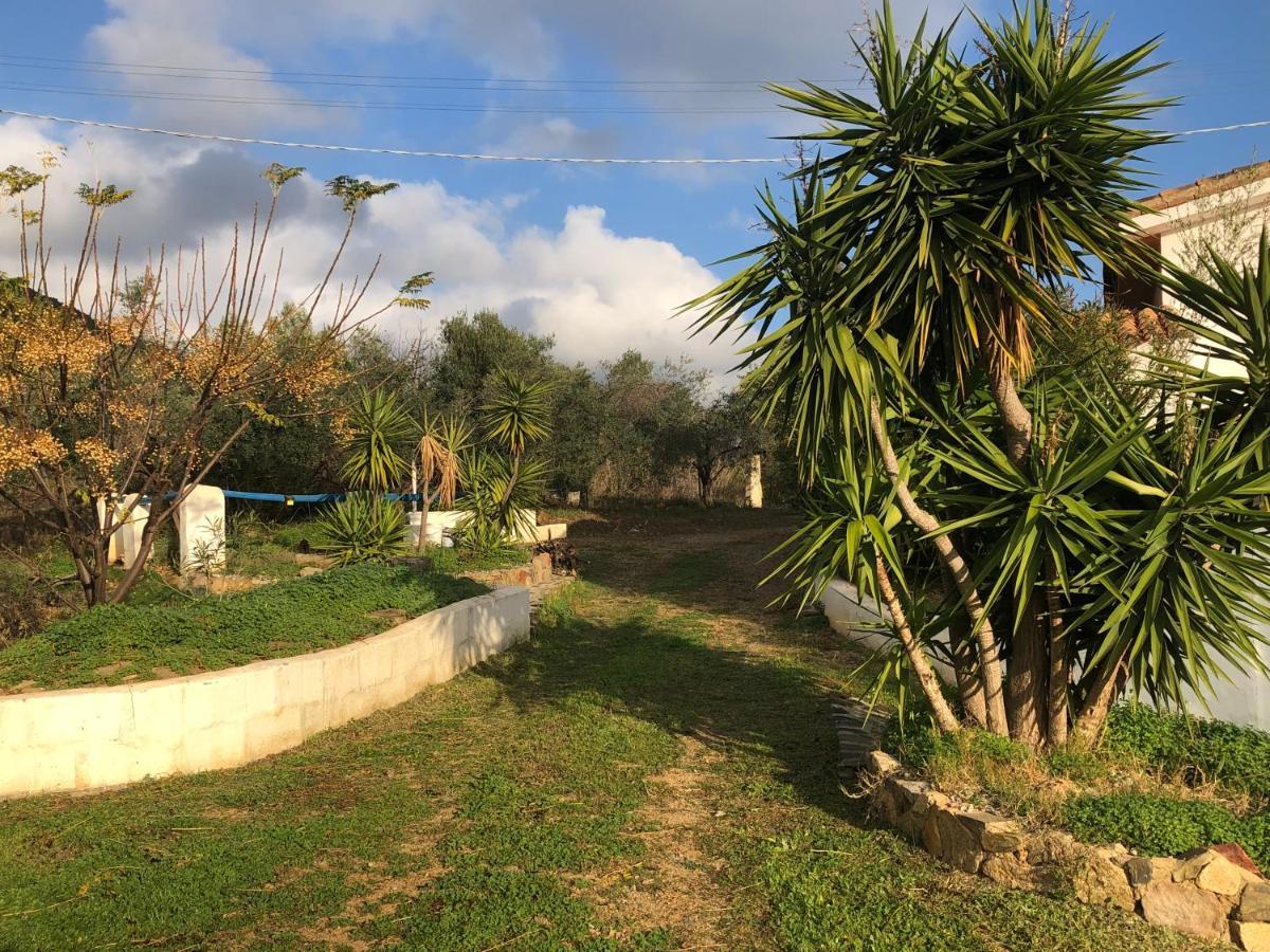 Ferienwohnung Sarrala Tertenìa Exterior foto