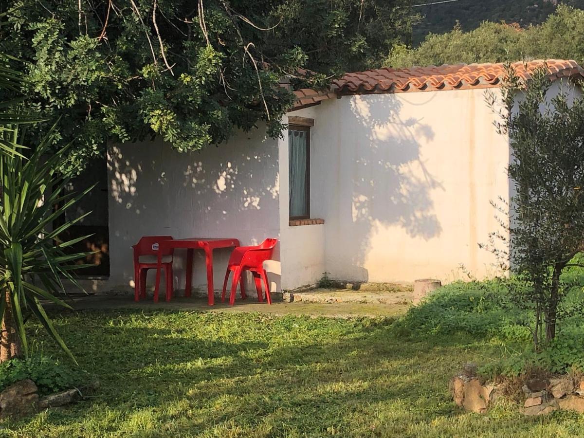 Ferienwohnung Sarrala Tertenìa Exterior foto